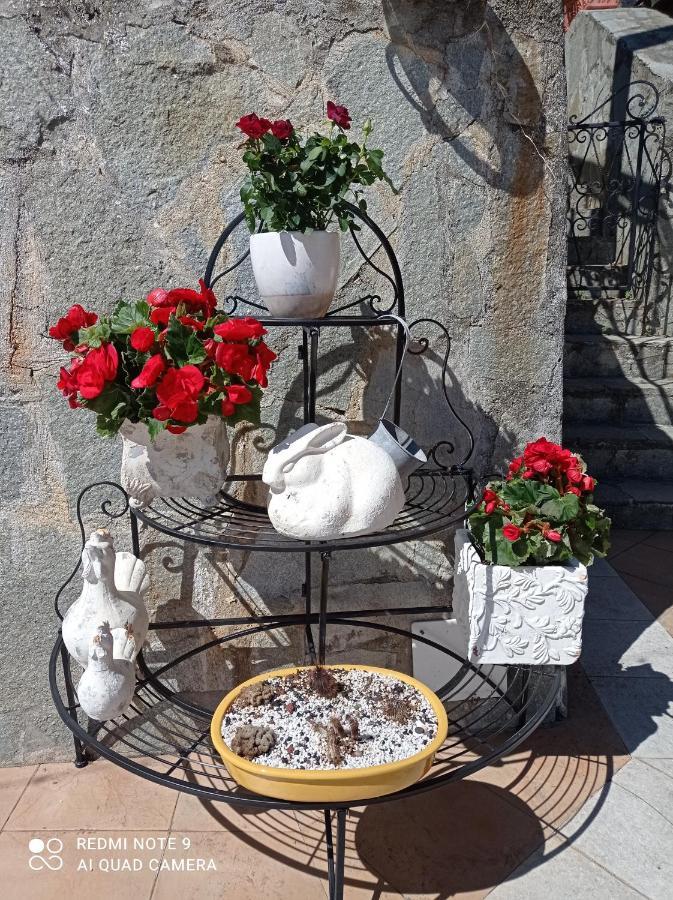 Casa Dell'Aura Bed & Breakfast Киавари Екстериор снимка
